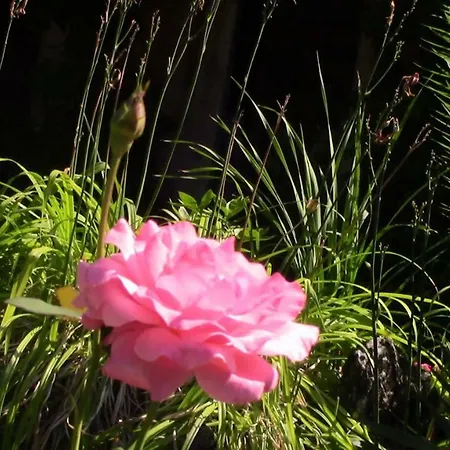 Casa Della Gioia Villa *