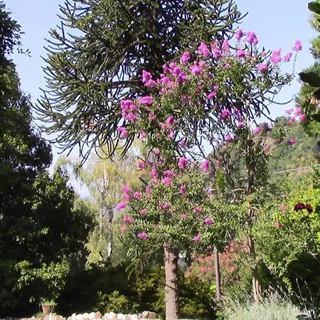 Villa Casa Della Gioia Castelveccana